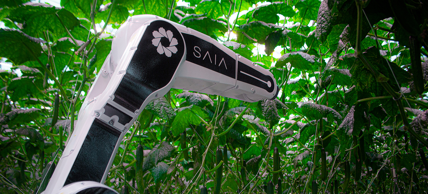 SAIA Agrobotics automates greenhouse horticulture